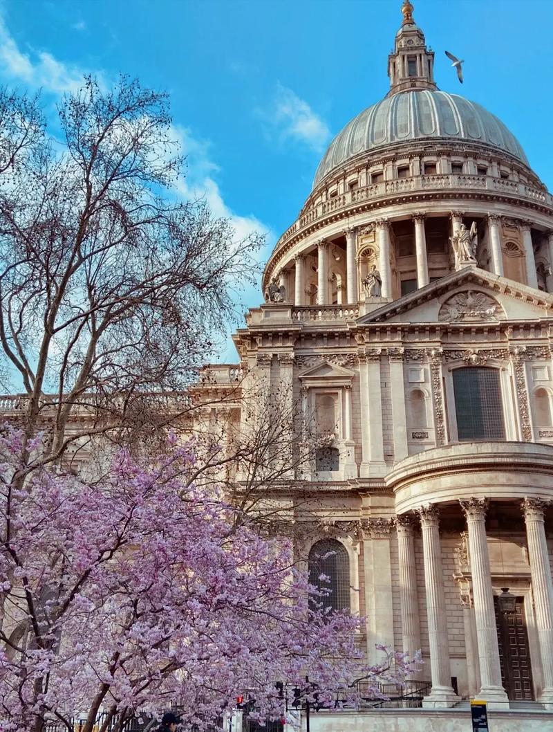 加州大学圣塔芭芭拉分校